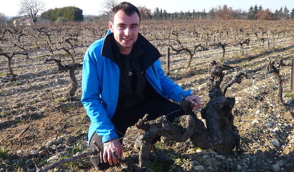 uploads_1462814286256-Romain+Saurel+of+Domaine+Saint-Damien,+with+one+of+his+many+seriously+old+Grenache+vines+copy