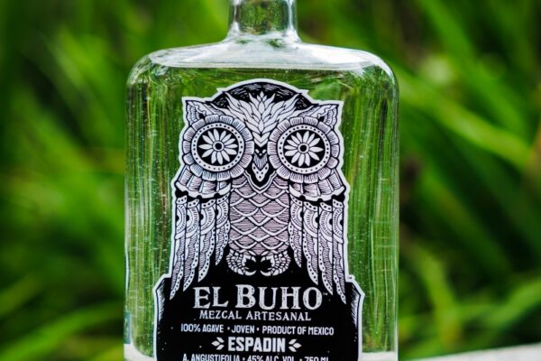 el buho1