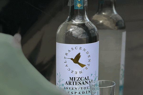 Trascendente-Spiribam-01