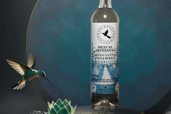 Trascendente-Spiribam-02