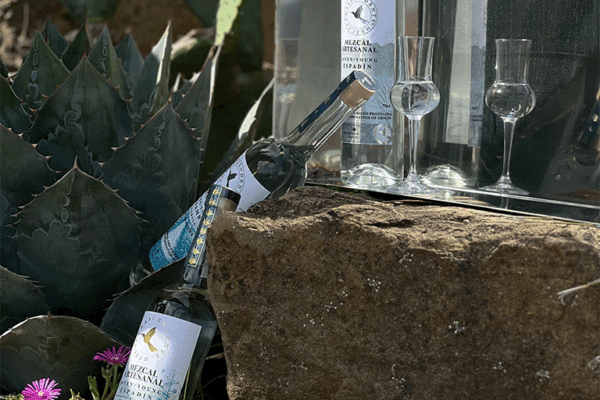 Trascendente-Spiribam-04