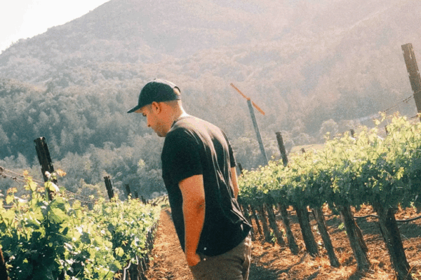 Grounded-Wines-2