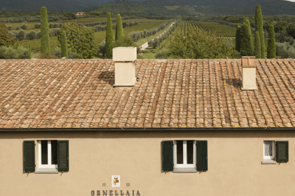 Ornellaia-1