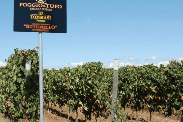 Poggio-al-Tufo-2