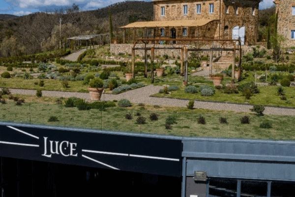 Tenuta-Luce-2
