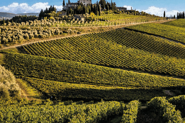 Tenuta-Perano-1
