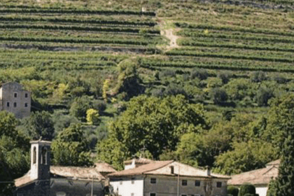 Tommasi-1